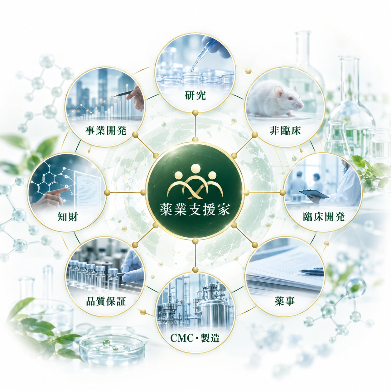 薬業支援家が研究・非臨床・臨床開発・薬事・CMC製造・品質保証・知財・事業開発をつなぐ図